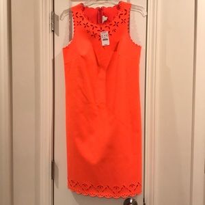 J Crew size 0 dress! NWT